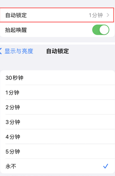 祁门苹果换屏维修分享无法调整iPhone自动锁屏的时间怎么办